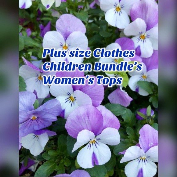 Come take a look - Picture 4 of 5